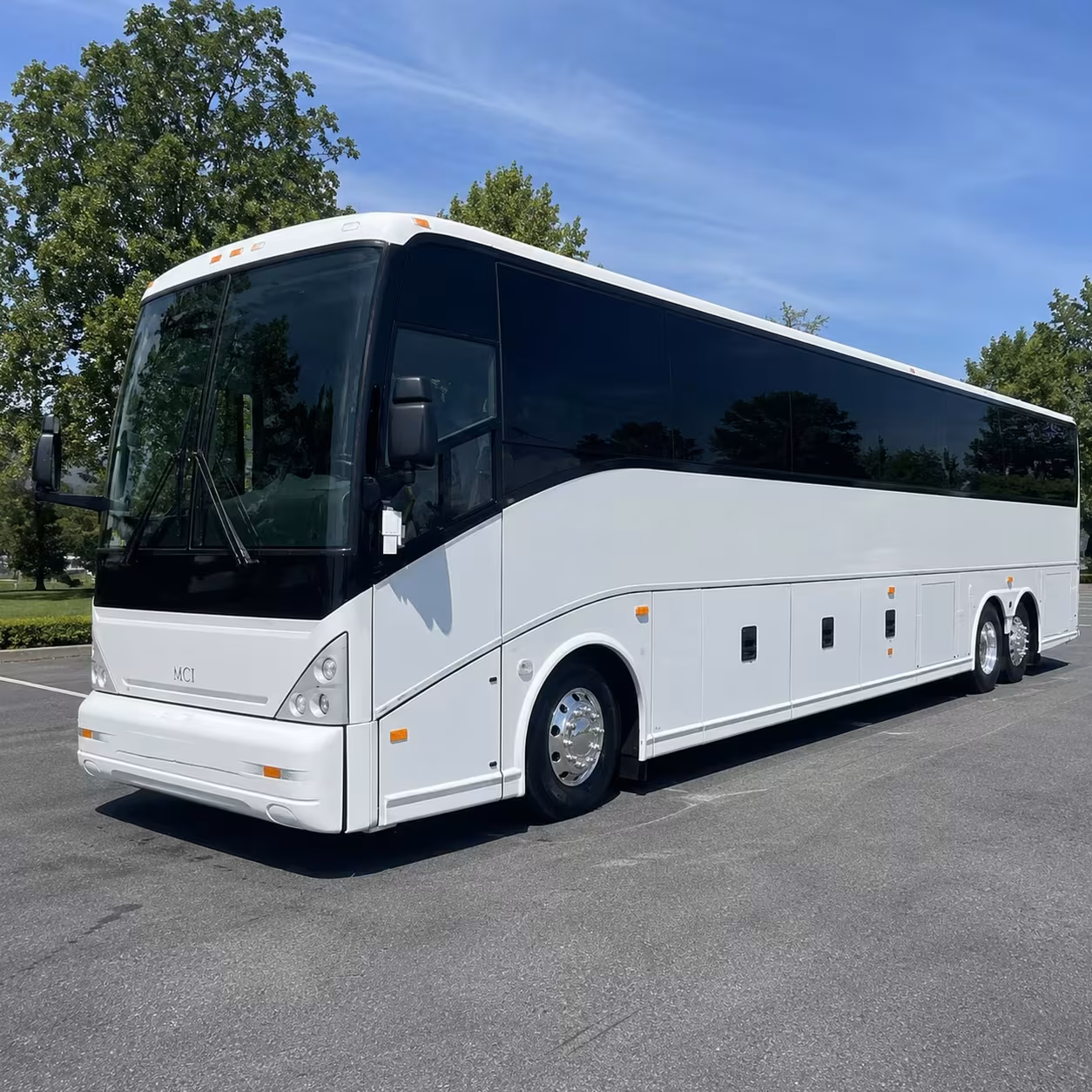 one search for your bellflower group trip